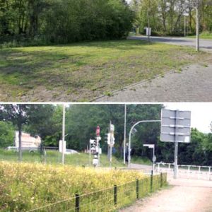 Blühwiese am Ziegenweg in Quickborn - vorher und nachher